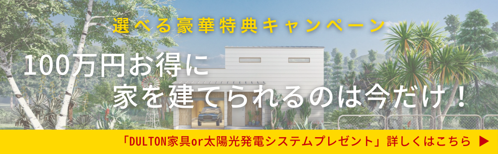 DH_banner (3).png